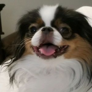 Meet your Posher, Gina